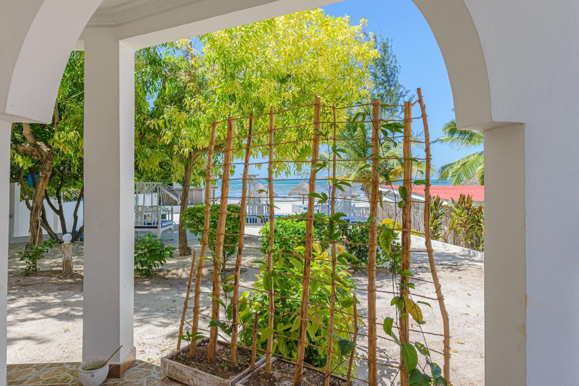 Marea Boutique Hotel Jambiani  Buitenkant foto
